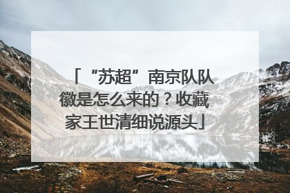 “苏超”南京队队徽是怎么来的？收藏家王世清细说源头