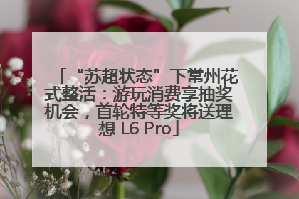 “苏超状态”下常州花式整活：游玩消费享抽奖机会，首轮特等奖将送理想 L6 Pro