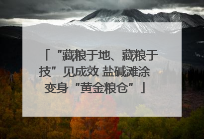 “藏粮于地、藏粮于技”见成效 盐碱滩涂变身“黄金粮仓”