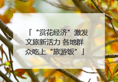 “赏花经济”激发文旅新活力 各地群众吃上“旅游饭”