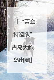 “青鸾特巡队”青岛大鲍岛出圈