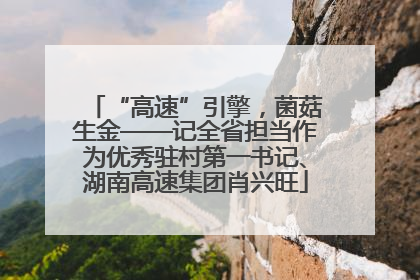 “高速”引擎，菌菇生金——记全省担当作为优秀驻村第一书记、湖南高速集团肖兴旺