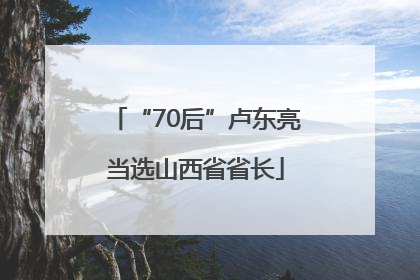 “70后”卢东亮当选山西省省长