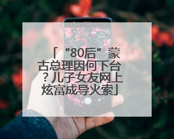 “80后”蒙古总理因何下台？儿子女友网上炫富成导火索