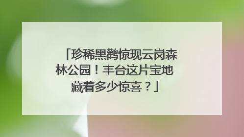 珍稀黑鹳惊现云岗森林公园！丰台这片宝地藏着多少惊喜？