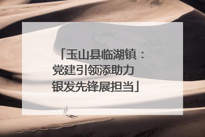 玉山县临湖镇：党建引领添助力 银发先锋展担当