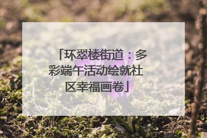 环翠楼街道：多彩端午活动绘就社区幸福画卷