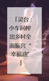 灵台：小车间榨出乡村全面振兴“幸福油”