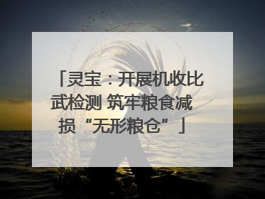 灵宝：开展机收比武检测 筑牢粮食减损“无形粮仓”