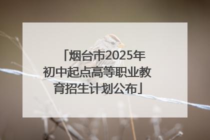 烟台市2025年初中起点高等职业教育招生计划公布