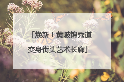 焕新！黄陂锦秀道变身街头艺术长廊