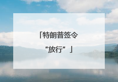 特朗普签令“放行”