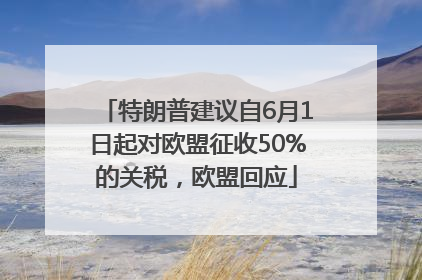 特朗普建议自6月1日起对欧盟征收50%的关税，欧盟回应