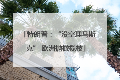 特朗普：“没空理马斯克” 欧洲抛橄榄枝