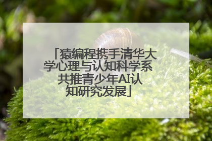 猿编程携手清华大学心理与认知科学系 共推青少年AI认知研究发展