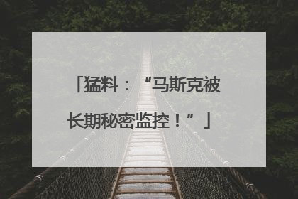 猛料：“马斯克被长期秘密监控！”