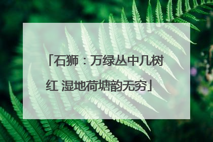 石狮：万绿丛中几树红 湿地荷塘韵无穷