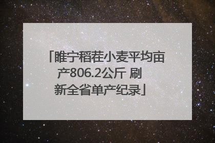 睢宁稻茬小麦平均亩产806.2公斤 刷新全省单产纪录