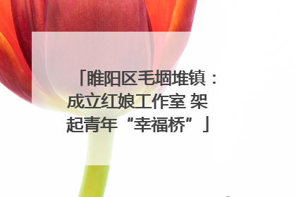 睢阳区毛堌堆镇：成立红娘工作室 架起青年“幸福桥”