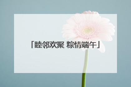 睦邻欢聚 粽情端午