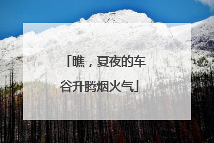 瞧，夏夜的车谷升腾烟火气