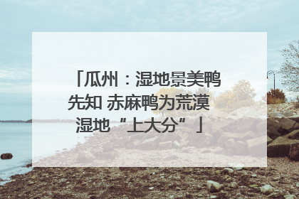 瓜州：湿地景美鸭先知 赤麻鸭为荒漠湿地“上大分”
