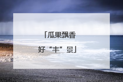瓜果飘香 好“丰”景