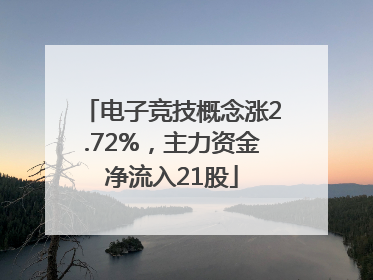 电子竞技概念涨2.72%，主力资金净流入21股