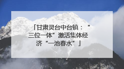甘肃灵台中台镇：“三位一体”激活集体经济“一池春水”