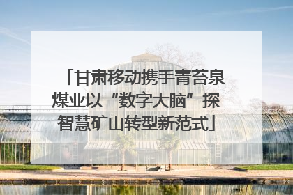 甘肃移动携手青苔泉煤业以“数字大脑”探智慧矿山转型新范式