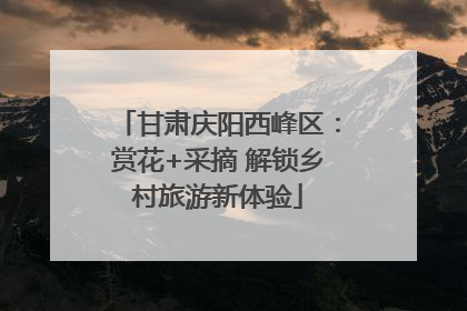 甘肃庆阳西峰区：赏花+采摘 解锁乡村旅游新体验