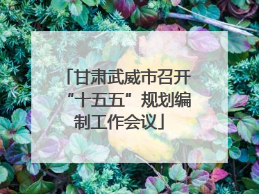 甘肃武威市召开“十五五”规划编制工作会议