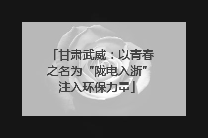 甘肃武威：以青春之名为“陇电入浙”注入环保力量