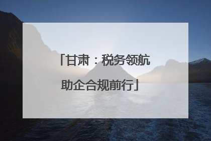 甘肃：税务领航 助企合规前行