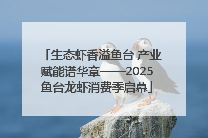 生态虾香溢鱼台 产业赋能谱华章——2025鱼台龙虾消费季启幕