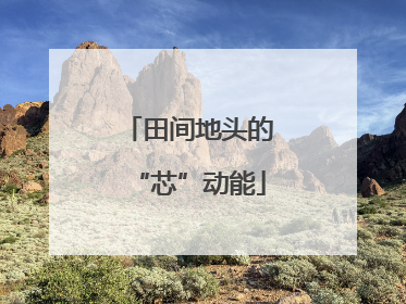 田间地头的“芯”动能