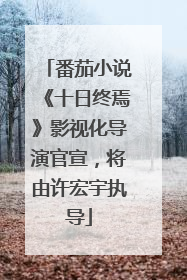 番茄小说《十日终焉》影视化导演官宣，将由许宏宇执导