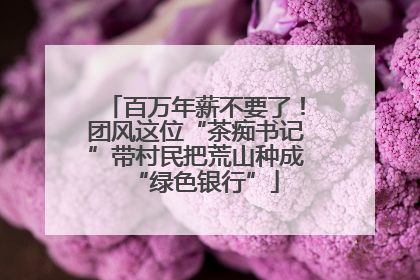 百万年薪不要了！团风这位“茶痴书记”带村民把荒山种成“绿色银行”