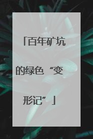 百年矿坑的绿色“变形记”