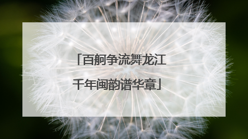 百舸争流舞龙江 千年闽韵谱华章