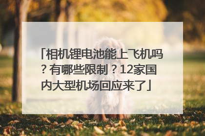 相机锂电池能上飞机吗？有哪些限制？12家国内大型机场回应来了