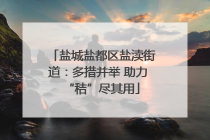 盐城盐都区盐渎街道：多措并举 助力“秸”尽其用