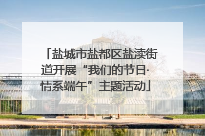 盐城市盐都区盐渎街道开展“我们的节日·情系端午”主题活动