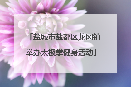 盐城市盐都区龙冈镇举办太极拳健身活动