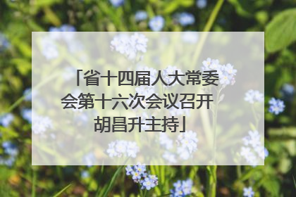 省十四届人大常委会第十六次会议召开 胡昌升主持