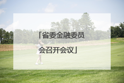 省委金融委员会召开会议