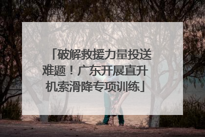 破解救援力量投送难题！广东开展直升机索滑降专项训练