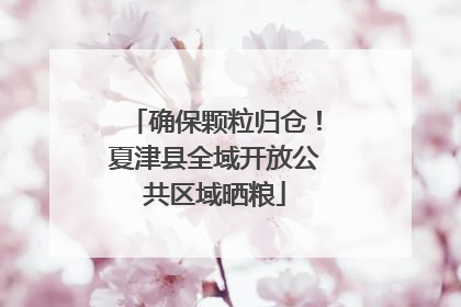确保颗粒归仓！夏津县全域开放公共区域晒粮
