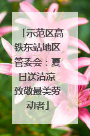 示范区高铁东站地区管委会：夏日送清凉 致敬最美劳动者