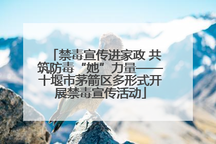 禁毒宣传进家政 共筑防毒“她”力量——十堰市茅箭区多形式开展禁毒宣传活动